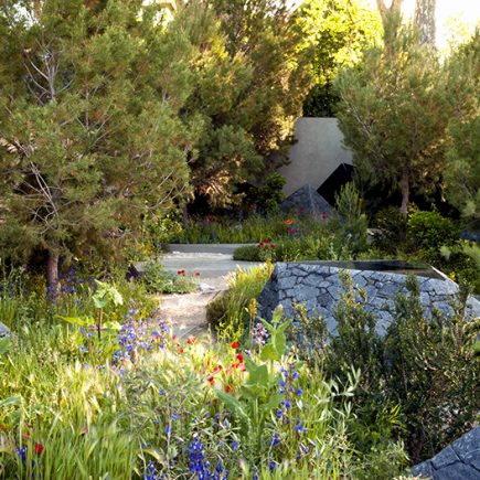 How to Become a Professional Garden Designer?